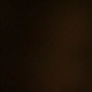 Meet your Posher, Camelia